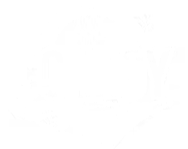 Conroys