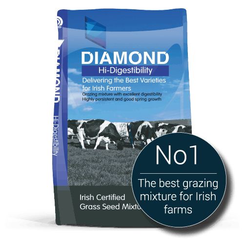 GOLDCROP Diamond Hi-Digestibility Grass Seed