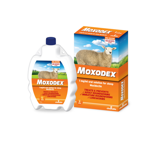 Moxodex Sheep Oral Drench